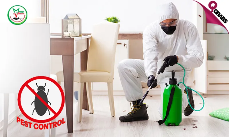Professional Pest Control Services!
